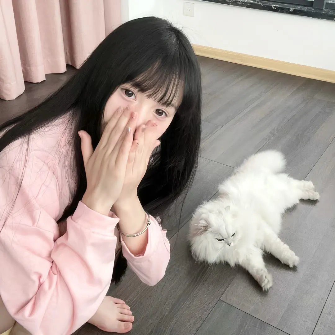 黑玫瑰